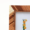 Symmetry Spectrum Picture Frame